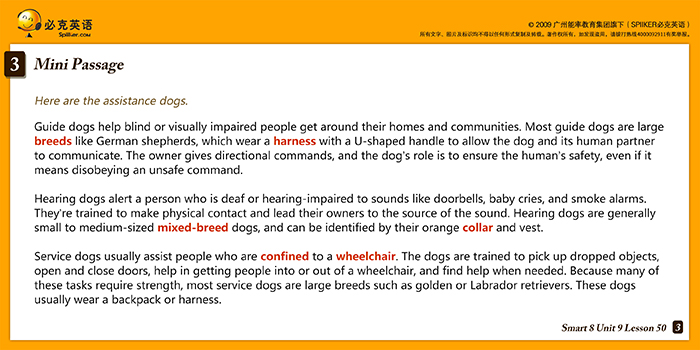 零基礎(chǔ)英語在線學(xué)習(xí)